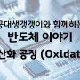 [공대생/반도체이야기] 4장 산화공정(Oxidation), 반도체 8대공정 2단계