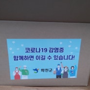 [하노이생활] 코로나 위기 하노이에서 한국 입국 /27개월 아기동반/코로나를 무릅쓰고 내나라 도착 그리고 격리