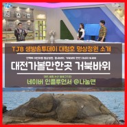 대전가볼만한곳 TJB 생방송투데이 소개한 명상정원 거북바위