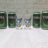 TERRA 테라 홀쏘맥 미니잔 기획팩 홈쏘맥잔 너무 귀여워