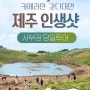 [여행상세페이지] 제주 인생샷 서부권 당일투어 상세페이지