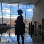 여자 혼자 미국 두달 여행-5(뉴욕 메트로 폴리탄 미술관/옐로 택시/파이브가이즈버거 후기)
