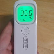 육아필수품 체온계 선택방법, 비접촉식 체온계 VS 귀체온계