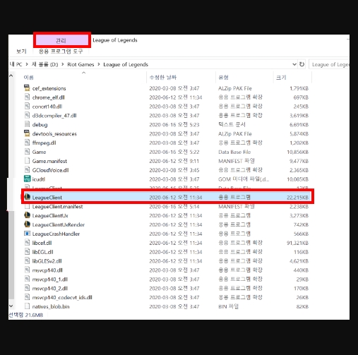  riotclientservices exe 