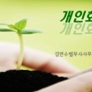 신용불량 과다대출 인한 개인회생,개인파산 신청자격