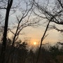 광산구 송정공원 아침저녁 산책하기 좋은 도심속 힐링장소:)