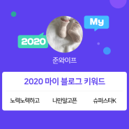 [2020 마이블로그 리포트] 한 눈에 보는 올해 내 블로그 데이터!