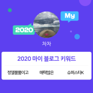 [2020 마이블로그 리포트] 한 눈에 보는 올해 내 블로그 데이터!