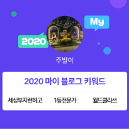 [2020 마이블로그 리포트] 한 눈에 보는 올해 내 블로그 데이터!