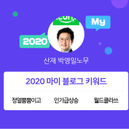 [13년된 블로그] 네이버가 알려준 2020년 한 눈에 보는 박노무사 블로그