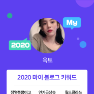 [2020 마이블로그 리포트] 한 눈에 보는 올해 내 블로그 데이터!