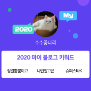 [2020 마이블로그 리포트] 한 눈에 보는 올해 내 블로그 데이터!