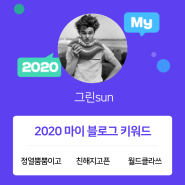 [2020 마이블로그 리포트] 한 눈에 보는 올해 내 블로그 데이터!