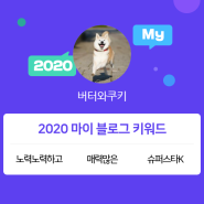 [2020 마이블로그 리포트] 한 눈에 보는 올해 내 블로그 데이터!