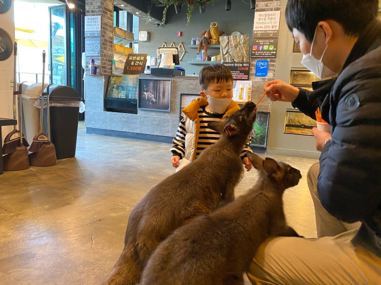 청주동물카페 애니멀빌리지 아이와함께 가기 정말 좋네요