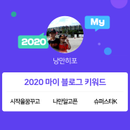 [2020 마이블로그 리포트] 한 눈에 보는 올해 내 블로그 데이터!