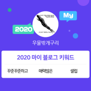 [2020 마이블로그 리포트] 한 눈에 보는 올해 내 블로그 데이터!