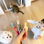 간식시간 - 포도나무열매 강아지와 고양이 그리고 아기