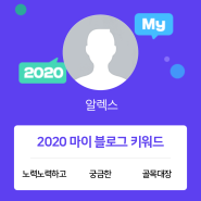 [2020 마이블로그 리포트] 한 눈에 보는 올해 내 블로그 데이터!