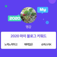 [2020 마이블로그 리포트] 한 눈에 보는 올해 내 블로그 데이터!