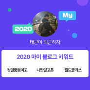 [2020 마이블로그 리포트] 한 눈에 보는 올해 내 블로그 데이터!