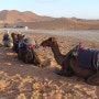 모로코자유여행 사하라사막 평온한 일몰 감상