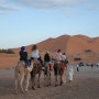 모로코여행 메르주가 낙타 타고 사막 구경하기