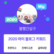 [2020 마이블로그 리포트] 한 눈에 보는 올해 내 블로그 데이터!