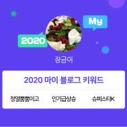 [2020 마이블로그 리포트] 한 눈에 보는 올해 내 블로그 데이터!