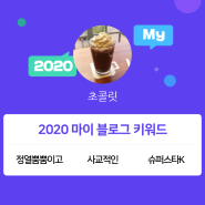 [2020 마이블로그 리포트] 한 눈에 보는 올해 내 블로그 데이터!