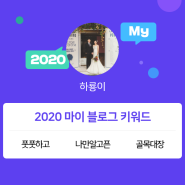 [2020 마이블로그 리포트] 한 눈에 보는 올해 내 블로그 데이터!