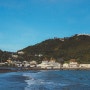 후지필름 x70 - 뉴질랜드 웰링턴, 바다를 통해 위로받기