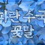 파란 수국 꽃말 반전 매력!