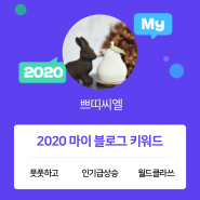 [2020 마이블로그 리포트] 한 눈에 보는 올해 내 블로그 데이터!