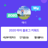 [2020 마이블로그 리포트] 한 눈에 보는 올해 내 블로그 데이터!