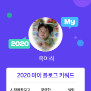 [2020 마이블로그 리포트] 한 눈에 보는 올해 내 블로그 데이터!