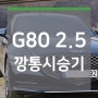 G80 2.5 깡통 시승기 (태즈먼블루)