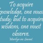 [지혜(Wisdom)] 지식(Knowledge)보다 중요한 K-스타트업 성공 요소