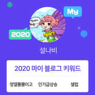 [2020 마이블로그 리포트] 한 눈에 보는 올해 내 블로그 데이터!