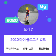 [2020 마이블로그 리포트] 한 눈에 보는 올해 내 블로그 데이터!