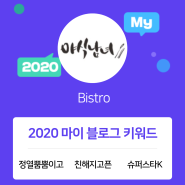 [2020 마이블로그 리포트] 한 눈에 보는 올해 내 블로그 데이터!