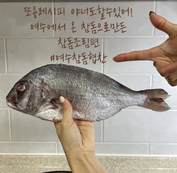 참돔요리:) 겨울철 입맛끌어올리기 여수한가네 참돔조림편 : 네이버 블로그