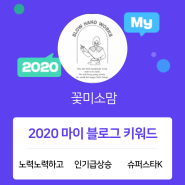 [2020 마이블로그 리포트] 한 눈에 보는 올해 내 블로그 데이터!