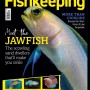 지스 브라인슈림프 부화기 리뷰가 practical fishkeeping 매거진에 올라왔습니다.