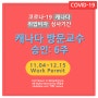 [ 코로나 상황 수속기간 ] 취업비자 승인 < 6주 > 캐나다 방문교수 워크퍼밋: 11월 4일 접수 → 12월 15일 승인