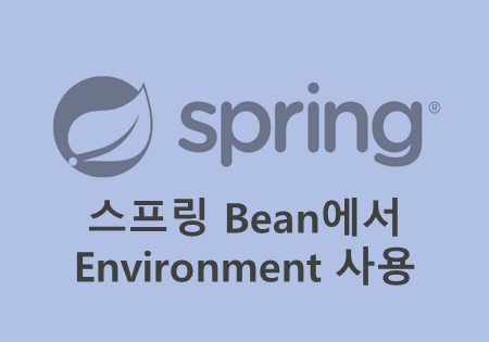 [Java] Spring - 스프링 Bean에서 Environment 사용 : 네이버 블로그