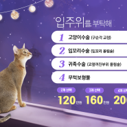 ★비에이성형외과 이벤트 안내 입니다★