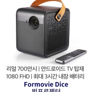 Formovie Dice 포무비 다이스 전용 삼각대, 빔프로젝터 전용 가방 배송 완료! 잘 받아보셨나요?