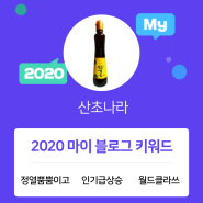 [2020 마이블로그 리포트] 한 눈에 보는 올해 내 블로그 데이터!