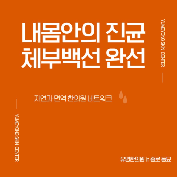 자연과면역 체부백선 완선이야기 : 종로 유명한의원 : 네이버 블로그